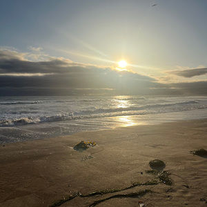 Meet your Posher, Isabella